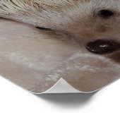 微笑のハリネズミ ポスター (角)