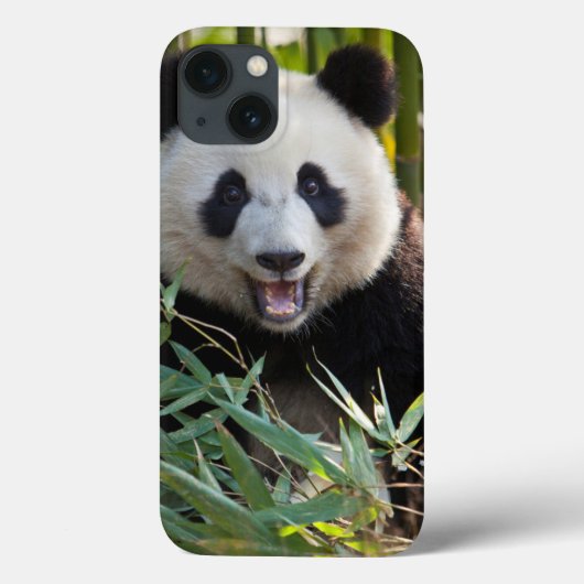 微笑のパンダのポートレート Case-Mate iPhoneケース (裏面)
