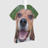 微笑のビーグル犬の子犬 オーナメント (正面)