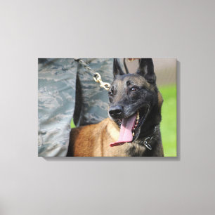 微笑のベルギー人Malinois キャンバスプリント