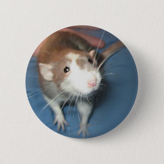 微笑のラットPIN/ボタン 缶バッジ (正面)