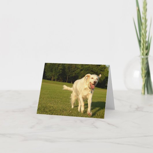 微笑の天使 カード (正面)