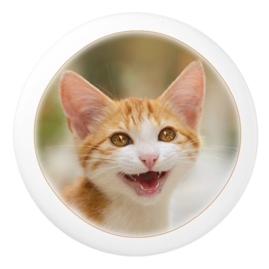 微笑の子ネコおもしろいな猫の猫の鳴き声 セラミックノブ (正面)