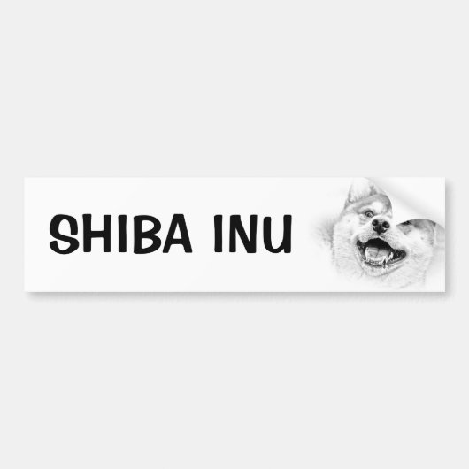 微笑の柴犬犬 バンパーステッカー (正面)