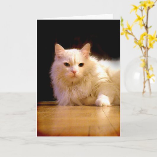 微笑の白い猫の挨拶状 カード (黄色い花)