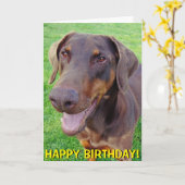 微笑の赤いdobermannのバースデー・カード カード (黄色い花)