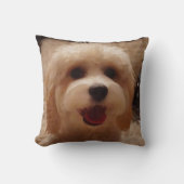 微笑のCockapoo クッション (正面)