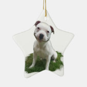 微笑のPittie セラミックオーナメント (右)