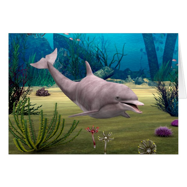 微笑むイルカ (正面横)