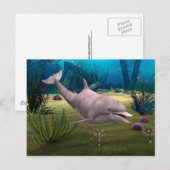 微笑むイルカ ポストカード (正面/裏面)