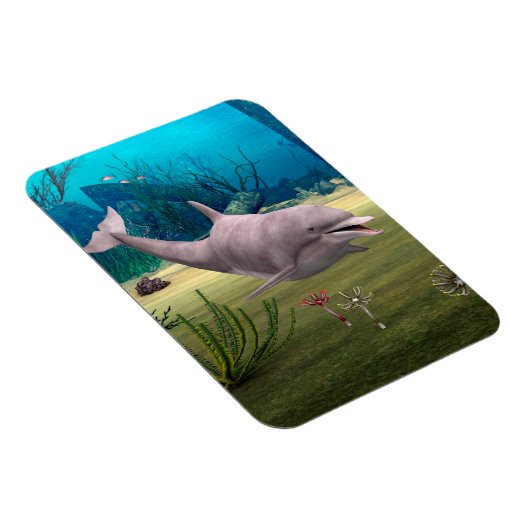 微笑むイルカ マグネット (右側)