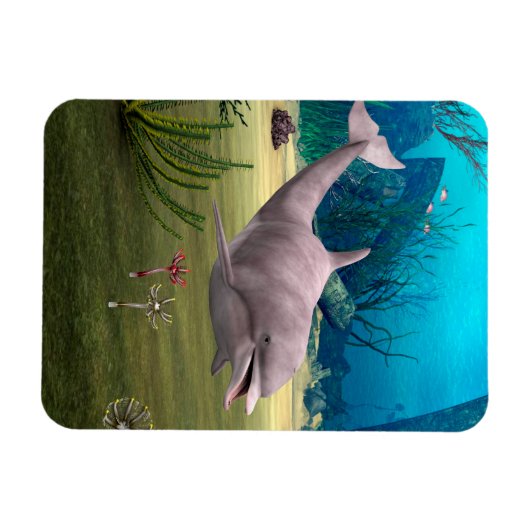 微笑むイルカ マグネット (横)