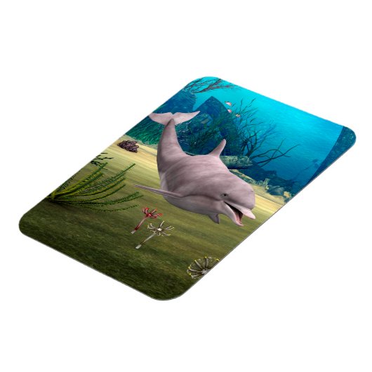 微笑むイルカ マグネット (左側)