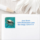 微笑むイルカ ラベル (インサイチュ)