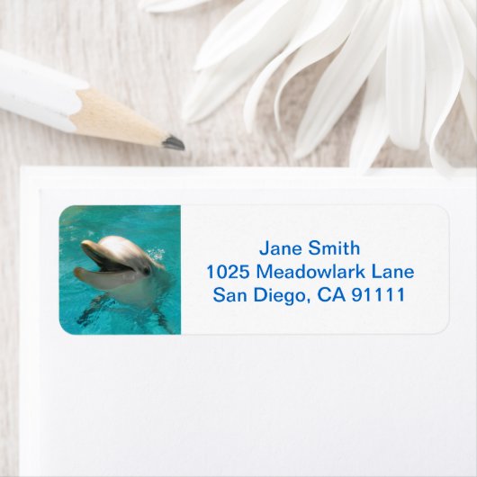 微笑むイルカ ラベル (インサイチュ)