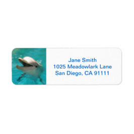 微笑むイルカ ラベル