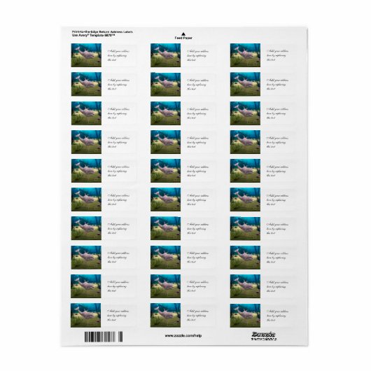 微笑むイルカ ラベル (フルシート)