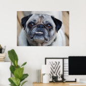 微笑むパグ ポスター (ホームオフィス)