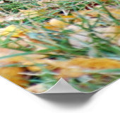 微笑む黒熊 ポスター (角)