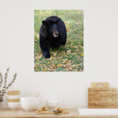 微笑む黒熊 ポスター (キッチン)
