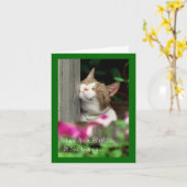 微笑猫のバースデー・カード カード (黄色い花)