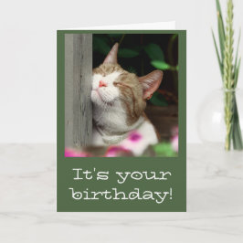 微笑猫のバースデー・カード カード