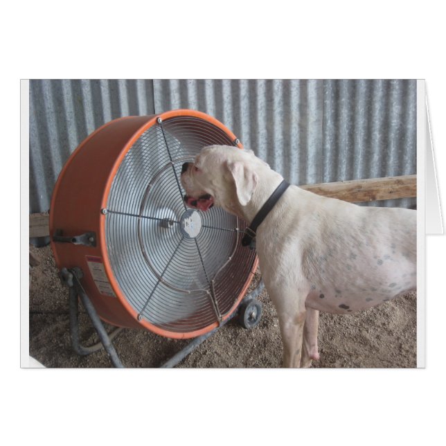 微風を愛している犬 (正面横)