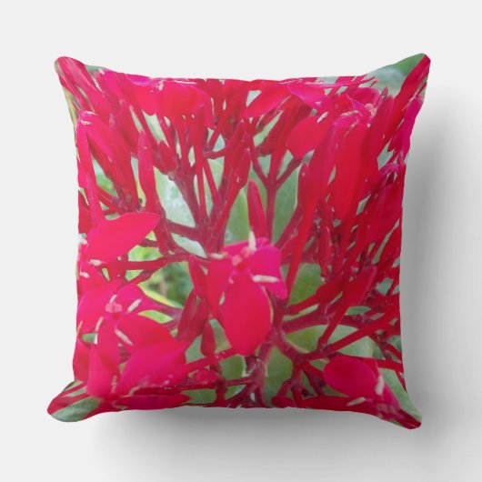 徳吉線 クッション (正面)