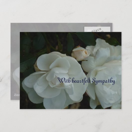 心からの哀悼 - 哀悼カード ポストカード (正面/裏面)