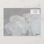 心からの哀悼 - 弔慰カード ポストカード (裏面)