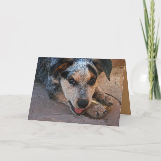 心からの感謝 - 犬好き サンキューカード (正面)