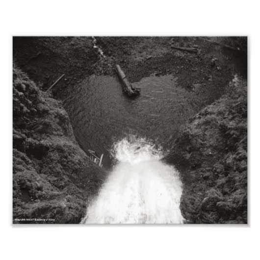 心から フォトプリント            (正面)