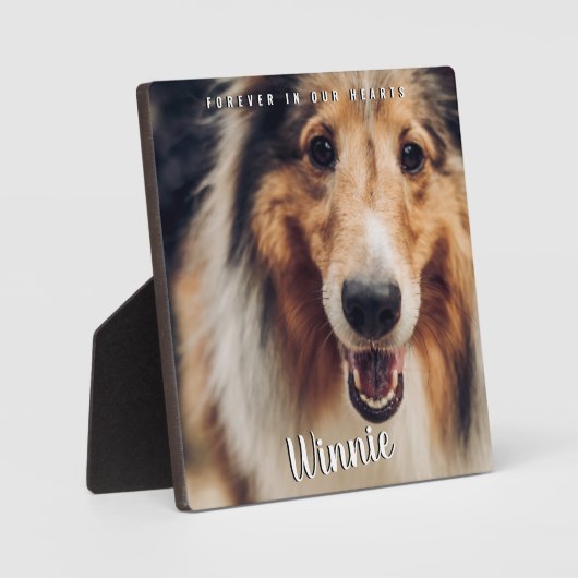 心に永遠に留まる写真ペットメモリアルギフト フォトプラーク (正面)