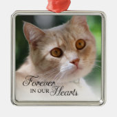 心に永遠に 猫の写真 メタルオーナメント (正面)