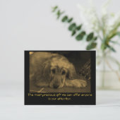 心に響く名言と愛らしい犬の画像 ポストカード (スタンド正面)