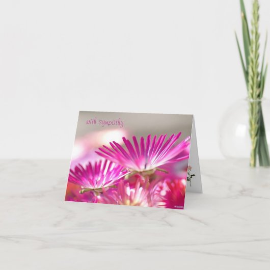 心のこもった同情カード カード (正面)