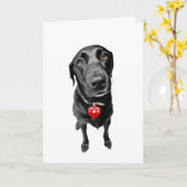 心のこもった悔やみや弔慰 カード (黄色い花)