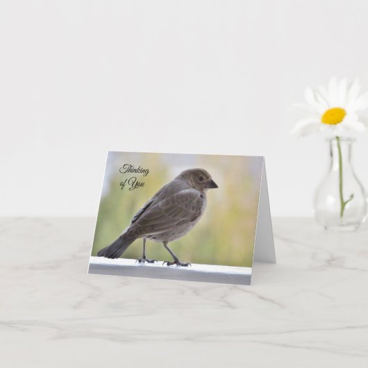 心の中で祈りを込めて - あなたのことを想う カード (小さな植物)