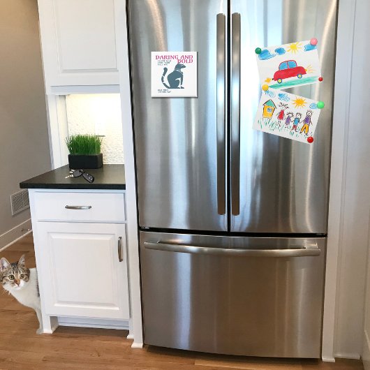 心の中の叫び声信じを解き放つ マグネット