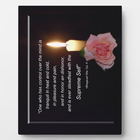 心の制御 – 最高の自己、ギタ引用文プラク フォトプラーク (正面)