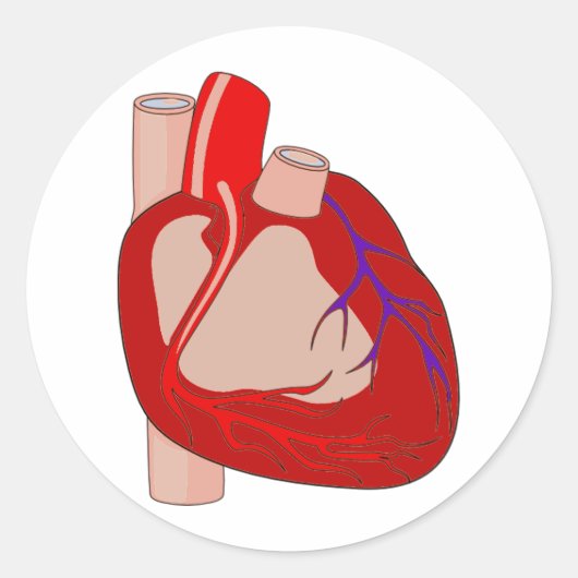 心の大きい ラウンドシール (正面)