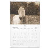 心の安定する年の馬好き カレンダー (2月 2017)