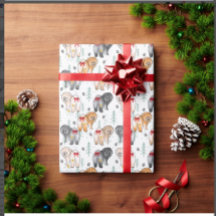 心の底から5つのチャウ色