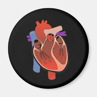 心を開く マグネット