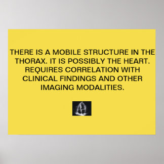 心エコー報告ポスター ポスター