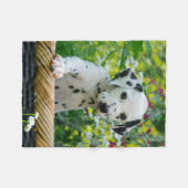 心地よいかわいいDalmatian犬の子犬 フリースブランケット (正面(横))