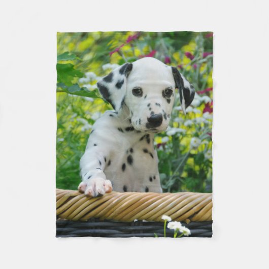 心地よいかわいいDalmatian犬の子犬 フリースブランケット (正面)
