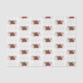 心地よいとジョイアームチェア 薄葉紙 (正面)