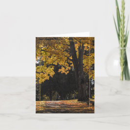 心地よいへのパス カード