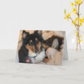 心地よいコリーのブランクのメッセージカード カード (黄色い花)